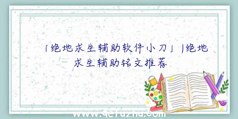 「绝地求生辅助软件小刀」|绝地求生辅助铭文推荐